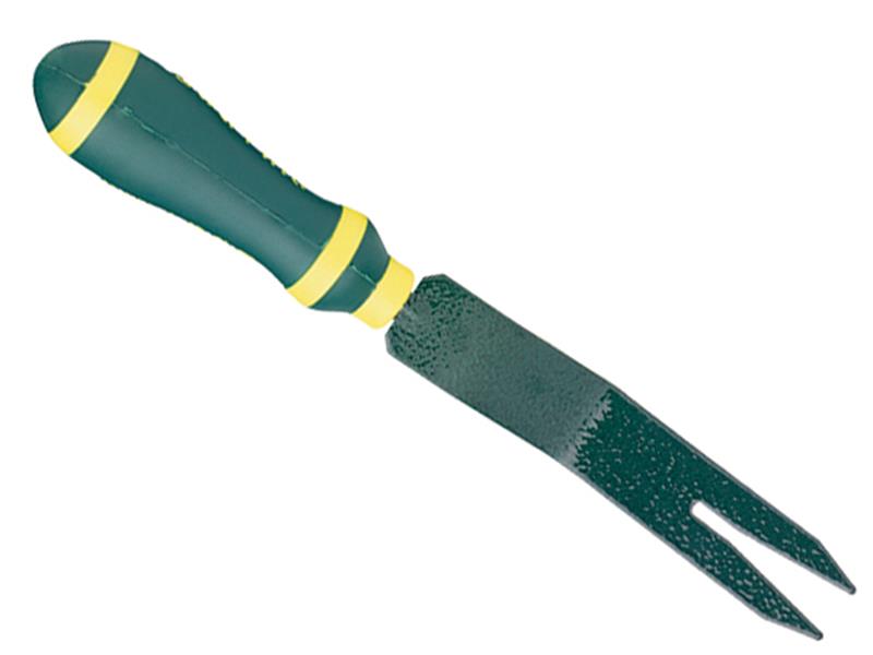BUL7123 - Evergreen Daisy Grubber