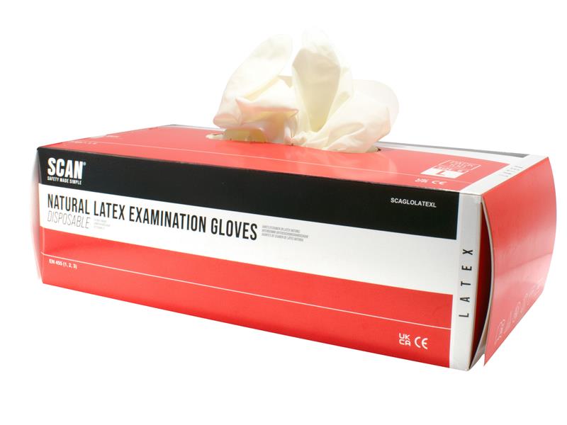 SCAGLOLATEXL - Latex Examination Gloves - L (Box 100)