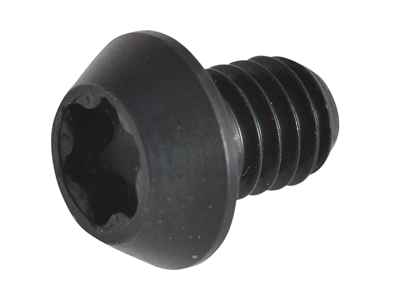 TRERT35 - RT/3.5 TORX Replacement Screws
