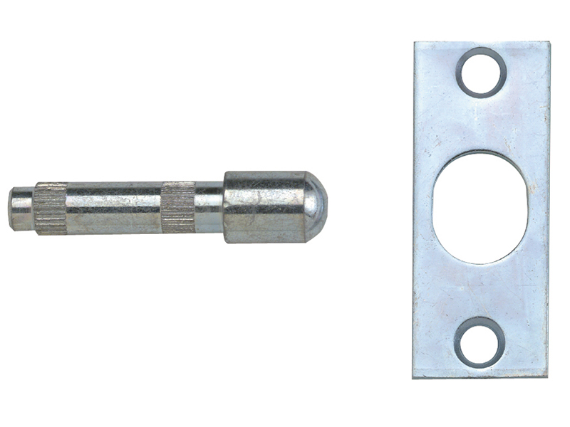 YALP125PB - P125 Hinge Bolts Brass