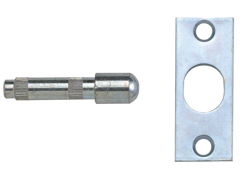 YALP125SC - P125 Hinge Bolts Zinc
