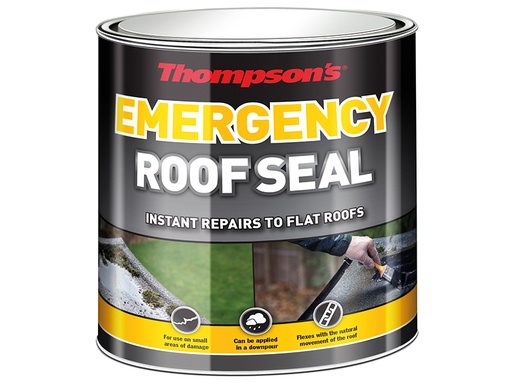 [RSLTERS25L] Thompson's Emergency Roof Seal 2.5 litre