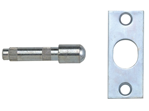 [YALP125SC] P125 Hinge Bolts Zinc